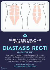 DIASTASIS RECTI GUIDE